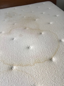 How do I remove urine from a mattress (before)